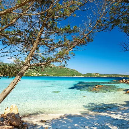 7pines Sardinia - A Destination By Hyatt Resort 5*