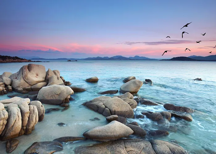 7pines Sardinia - A Destination By Hyatt